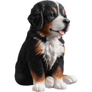 アウトレット バーニーズマウンテンドッグ 子犬...の詳細画像5