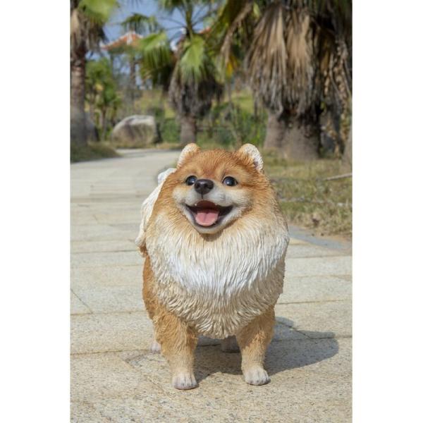 アウトレット ポメラニアン 犬 オブジェ リアル 犬の置物 ガーデンオーナメント ドッグオブジェ 玄...