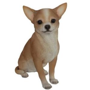 置物 彫像 座っているチワワ犬の像 ガーデニング 庭 Dog Chihuahua ornament ...