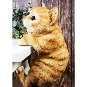 ぶら下がるオレンジとら猫 子猫 キトン インテリア 置物 彫像 ガーデニング 庭 ねこ 猫 Hanging Orange Tabby Cat｜bezipang