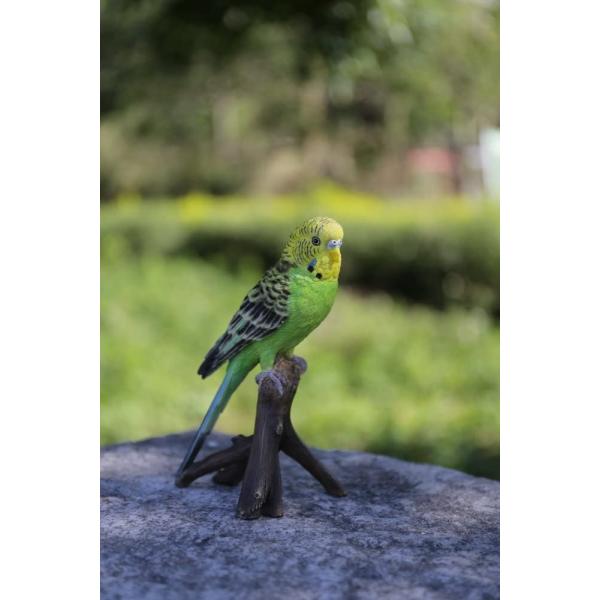 アウトレット品 セキセイインコ オブジェ ガーデンオーナメント リアル 鳥 置物 インコ ガーデン雑...