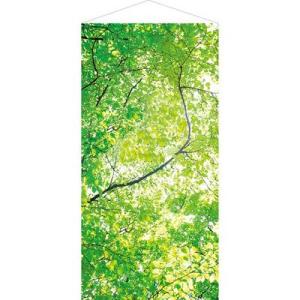森自然木々木漏れ日タペストリー | 新緑若葉タペストリー (防炎加工)の商品画像