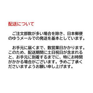 【最新版】審判メカニクスハンドブック第6版の詳細画像2