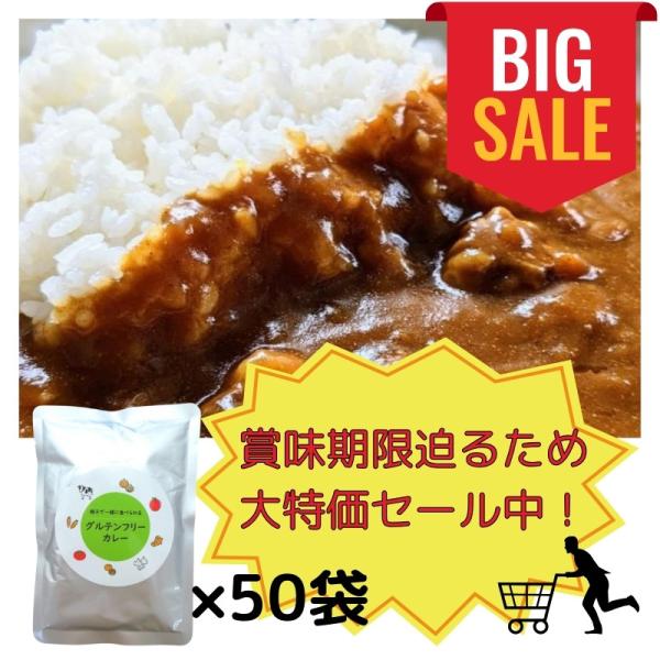 【賞味期限迫るため大セール中！】グルテンフリー カレー50袋セット｜グルテンフリー検査済｜ たっぷり...