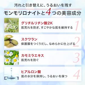 クレイ洗顔 クレイウォッシュ 洗顔 泡立て不要...の詳細画像3