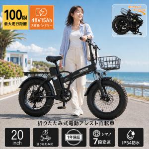 FLYFISH 電動アシスト自転車 20インチ折りたたみ e-bike 最大航続100km 3段階アシスト搭載 外装7段変速 カゴ ライト付き USBポート 坂登25度 お祝い 男女兼用