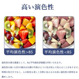 LED蛍光灯 FDL18EX LED 18W形...の詳細画像5