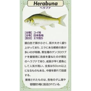 魚ピンズ ヘラブナ 篦鮒 本七宝 ビンテージ ...の詳細画像3