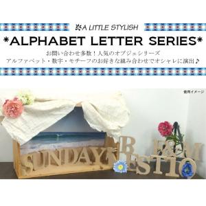 ALPHABET LETTER SERIES ...の詳細画像1