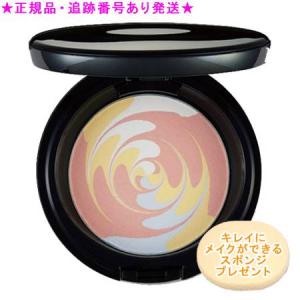 SELGRACE ナリス化粧品 セルグレース クリームファンデーション 全8色