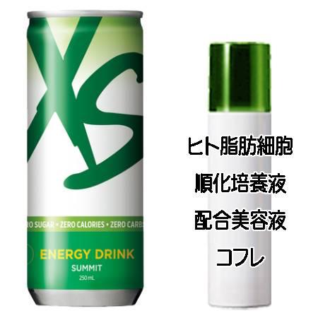 マザーズデイコフレ 送料込 アムウェイ XS エナジードリンク サミットブリーズ(250mL×6本)...