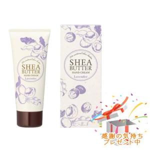 cle de peau BEAUTE（クレ ド ポー ボーテ） 【26789】 資生堂 クレ ド