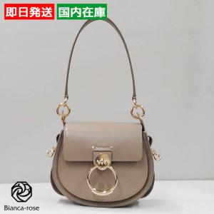 美品✨ヴァレンティノガラヴァーニ バニティ 2way ショルダーバッグ レザー ヴァレンティノ ガラヴァーニ ヴェイン クロコダイルレザー スモール