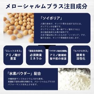 メローシャルムプラス 60粒 サプリメント (...の詳細画像1