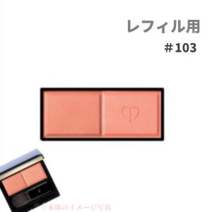 クレ ド ポー ボーテ ブラッシュデュオプードル 1036g