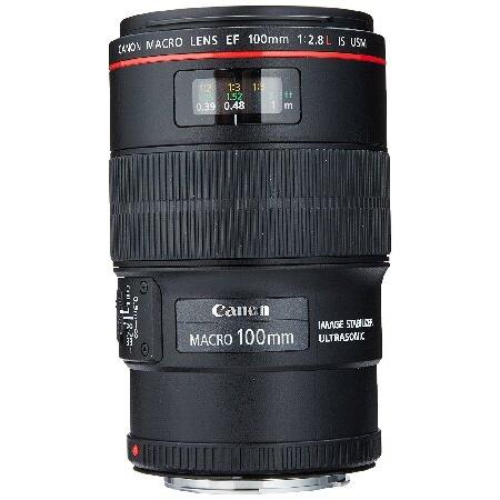 Canon EF 100mm f/2.8L IS USM Macro Lens for Canon ...