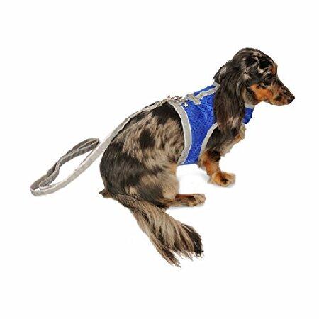 My Canine Kids Athletic Mesh Dog Vest Harness_Blue...