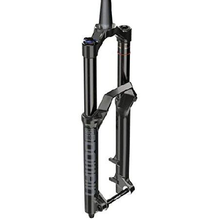 RockShox ドメイン RC サスペンションフォーク | 29インチ | 160mm | 15x...