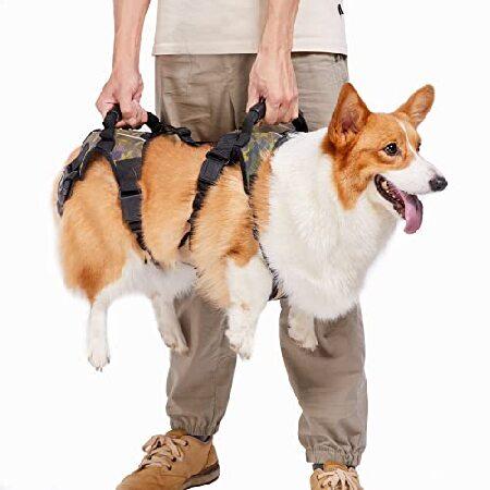 Coodeo Dog Lift Harness, Full Body Support ＆ Recov...