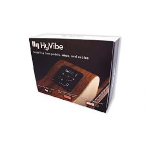 HyVibe Installation Kit for Acoustic Guitar (Requires Professional Installation) (HyV/H1)｜bic-store