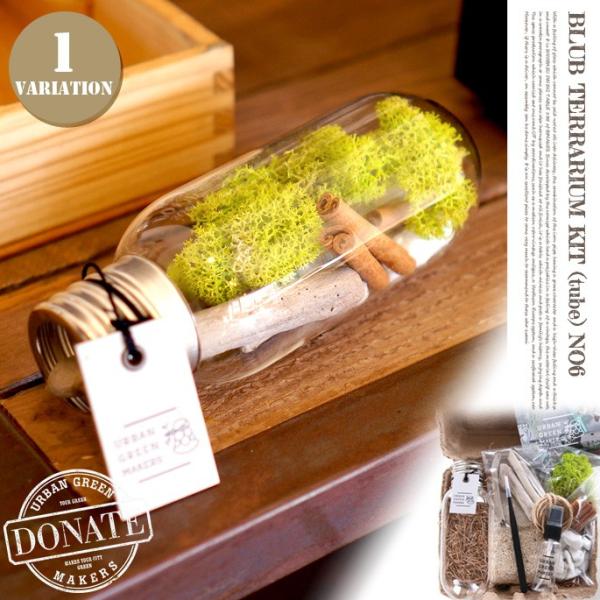 BEAKER TERRARIUM KIT TUBE