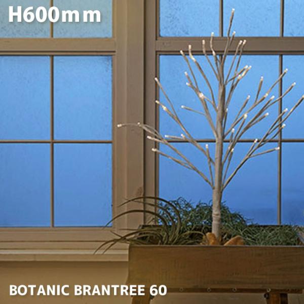 ライト　イルミネーション ボタニックブランツリー 60 BOTANIC BRANTREE 60 AO...