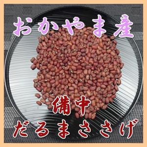 ささげ 備中だるまささげ500g  国産 岡山 備中産