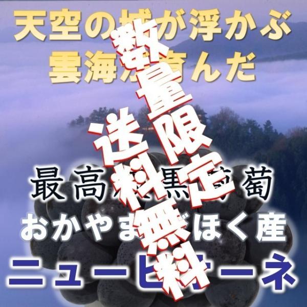 ニューピオーネ 農業大賞受賞日本一の産地岡山びほく産1kg以上2房  得トク0706