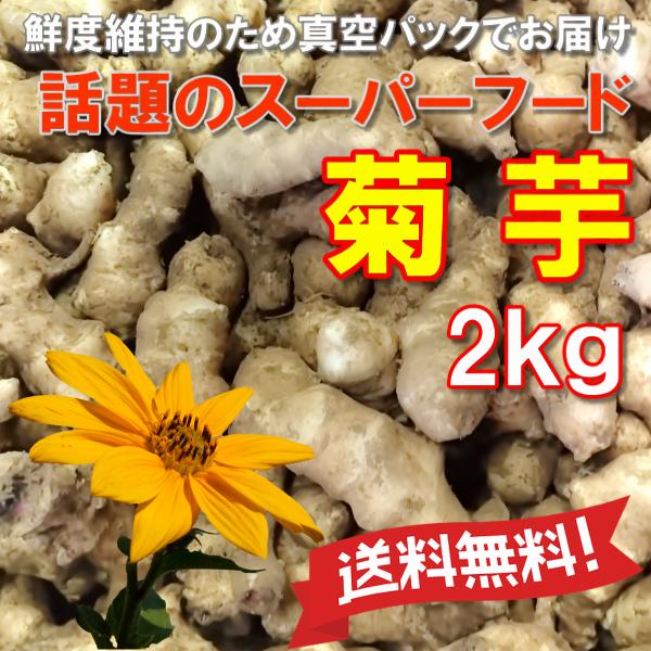 菊芋 送料無料 当店管理栄養士おすすめレシピ付き 2kg キクイモ きくいも 農薬化学肥料不使用 国...