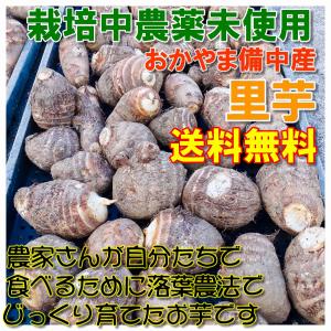 無農薬 落ち葉農法栽培 土つき里芋 訳あり 5kg 送料無料 未選別 2S〜2Lサイズ混在｜bicchu