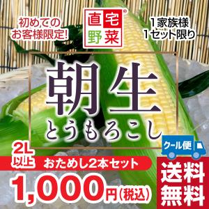 復活＼数量限定／「朝生とうもろこし」生食◎ お試し2本セット(鮮度保持袋個包装) ＊送料無料 農場の鮮度をそのままお届け! クール便 順次出荷 サイズ＆価格改定