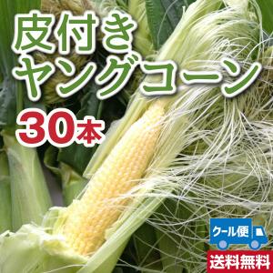 皮付きヤングコーン30本 クール便送料込 備中農園のこだわり野菜｜bichumarche