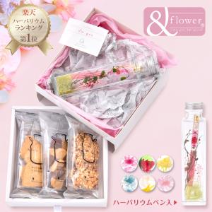 誕生日 プレゼント 焼き菓子 花 セット スイーツ ハーバリウムペン ギフト 実用的 ボールペン プリザーブドフラワー ドライフラワー 女性 ボトルガーデン｜フラワーギフト専門店FUN fun