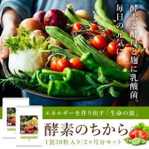 訳あり 酵素 酵母 麹 乳酸菌 サプリメント ダイエット 送料無料 訳あり在庫処分 66％OFF 植物 発酵  酵素のちから 30粒 2袋セット 2ヶ月 セール ポイント消化