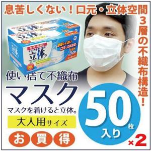 不織布マスク Hadarikiマスク 100枚 不織布 3層構造 飛沫ウイルス 花粉 立体 プリーツ 高密度フィルター HADARIKI 立体マスク 50枚×2箱セット 送料無料