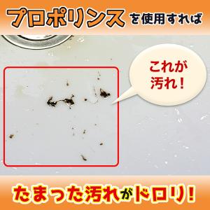 オーラルケア マウスウォッシュ プロポリンス ...の詳細画像3