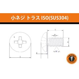 台灣小阪精工・小阪鋲螺製作所  小ネジ トラス ISO (ステンレスSUS304) 4x6 (2000本) (MT4006S)｜bidoorpal