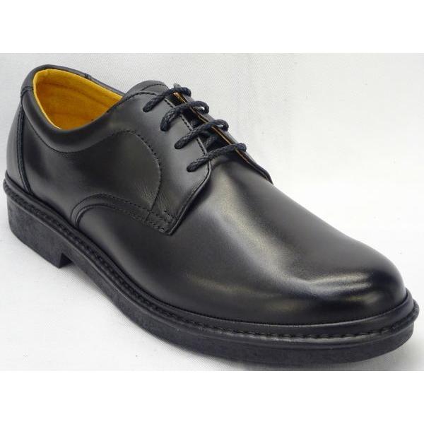 27.5cm(us11.0) Rinescante Valentiano 3023C 【4E】 BL...