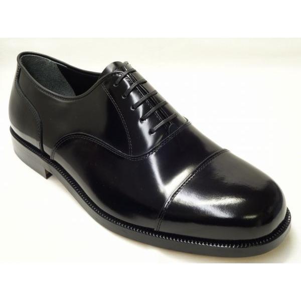 26.5cm(us10.0) ファイブフィールド　FIVE FIELD 6909-1 【6E】 BL...