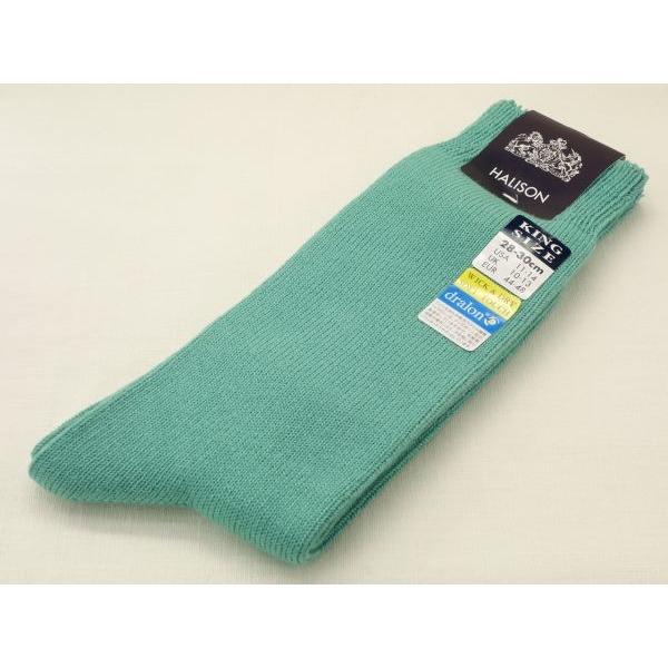 HALISON ヒラオリドライ 11101-JS MT ミント ハリソン  big-b