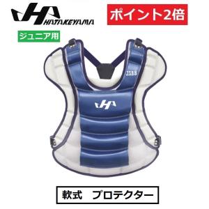 HATAKEYAMA ハタケヤマ ジュニア用 キャッチャーズギア
