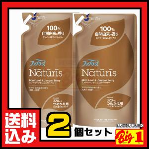 P&G ファブリーズ ナチュリス 布用 ミントリーフ＆ジュニパーベリーの香り 詰替用 ×2個セット