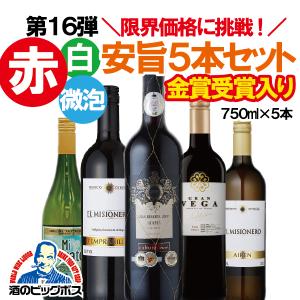 ワイン wain ワインセット 赤 白 微発泡  第16弾 限界に挑戦