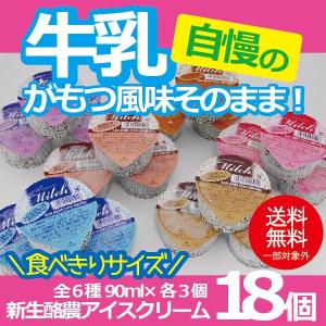 お年賀 御年賀 ギフト アイスクリーム 送料無料 {新生酪農アイスクリーム18個セット} 冷凍便｜bigbossshibazaki