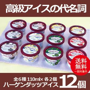 ギフト アイスクリーム  ハーゲンダッツアイス12個セット 冷凍便