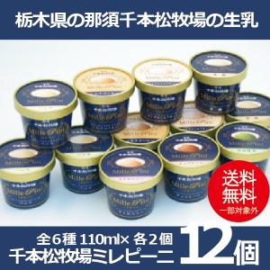 お歳暮 御歳暮 ギフト アイスクリーム   冷凍便