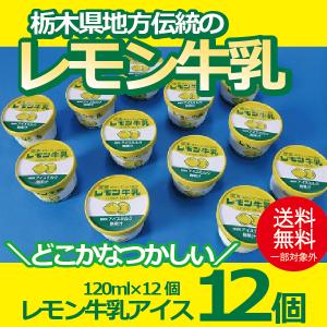 お歳暮 御歳暮 ギフト アイスクリーム 送料無料 {レモン牛乳アイス12個セット} 冷凍便『YWS』｜bigbossshibazaki