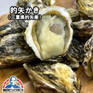生牡蠣 生食用 大田市場直送 山小三 殻付き かき カキ オイスター 国内産真牡蠣 三重県的矢 的矢かき 1個 クール便