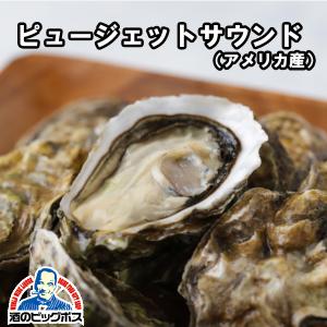 生牡蠣 生食用 大田市場直送 山小三 殻付き かき カキ オイスター 海外産真牡蠣 米国ワシントン州 ピュージェットサウンド 1個 クール便