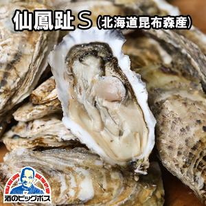 生牡蠣 生食用 大田市場直送 山小三 殻付き かき カキ オイスター 国内産真牡蠣 北海道昆布森 仙鳳趾S 1個 クール便